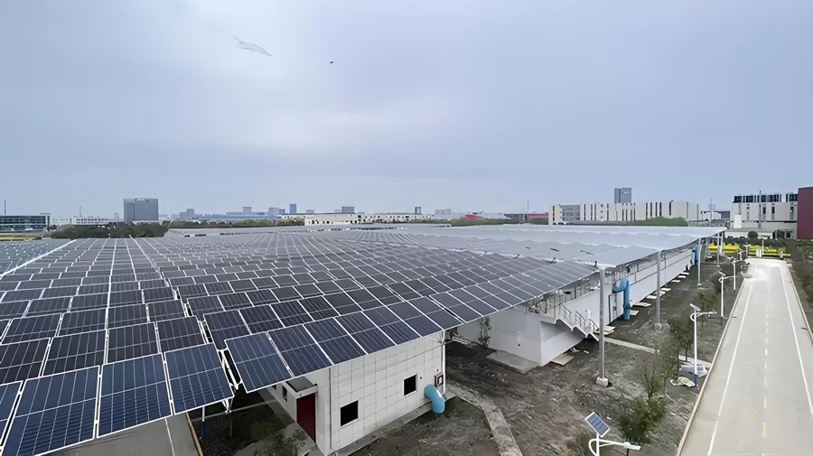 PV Scene in Yancheng, Jiangsu, China