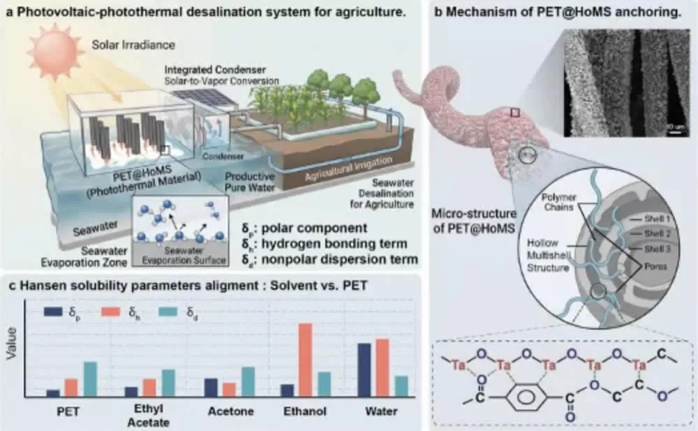 Novel Chinese 3D Photothermal Material Breaks Through Bottlenecks in Solar Desalination