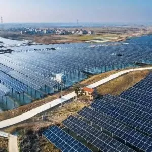 Hubei Hanchuan Industrial Demonstration Park PV Agriculture Integration Innovation Case