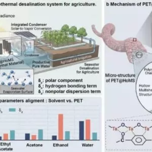 Novel Chinese 3D Photothermal Material Breaks Through Bottlenecks in Solar Desalination